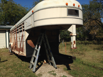 Livestock trailer for moving Mini Jersey herd from the Midwest to teh northwest