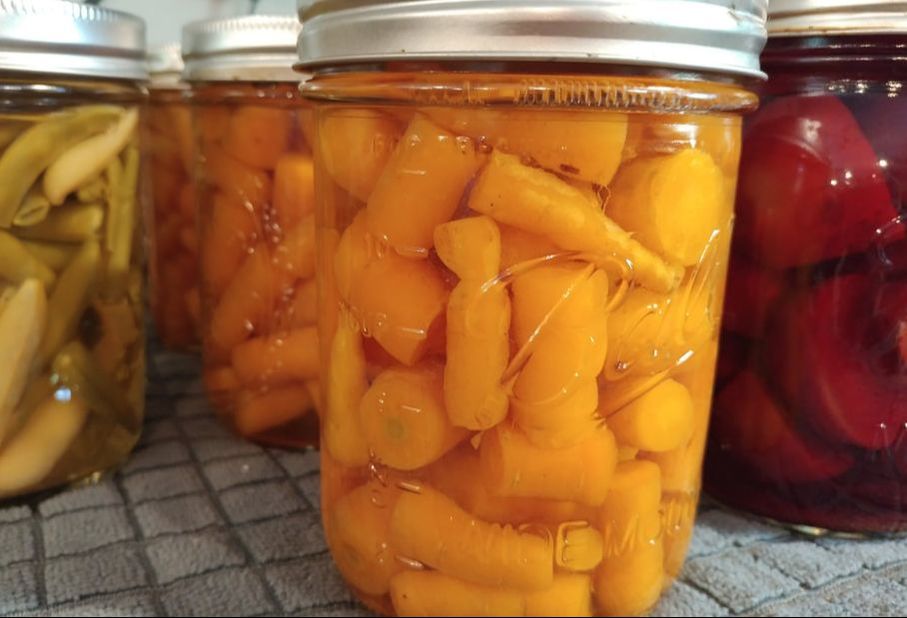 Carrots grown in garden and canned on North Woods Homestead