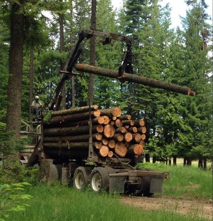 North Idaho Logging truck harvesting wood on the Homestead