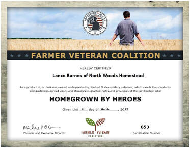 FVC Farmer Veteran Coalition Homegrown by Heroes Purebred Mini Jerseys bred by North Woods Homestead in Idaho, NWHomestead.com