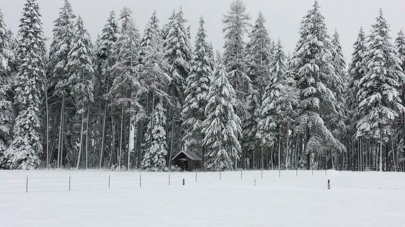  Idaho Winter at North Woods Homestead in Idaho