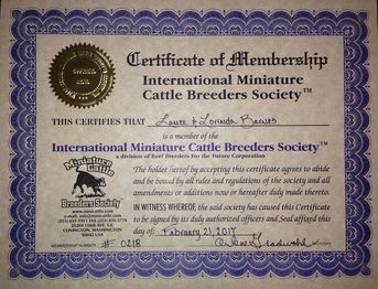 IMCBR Polled Miniature Jerseys cattle breeders registry lifetime membership certificate