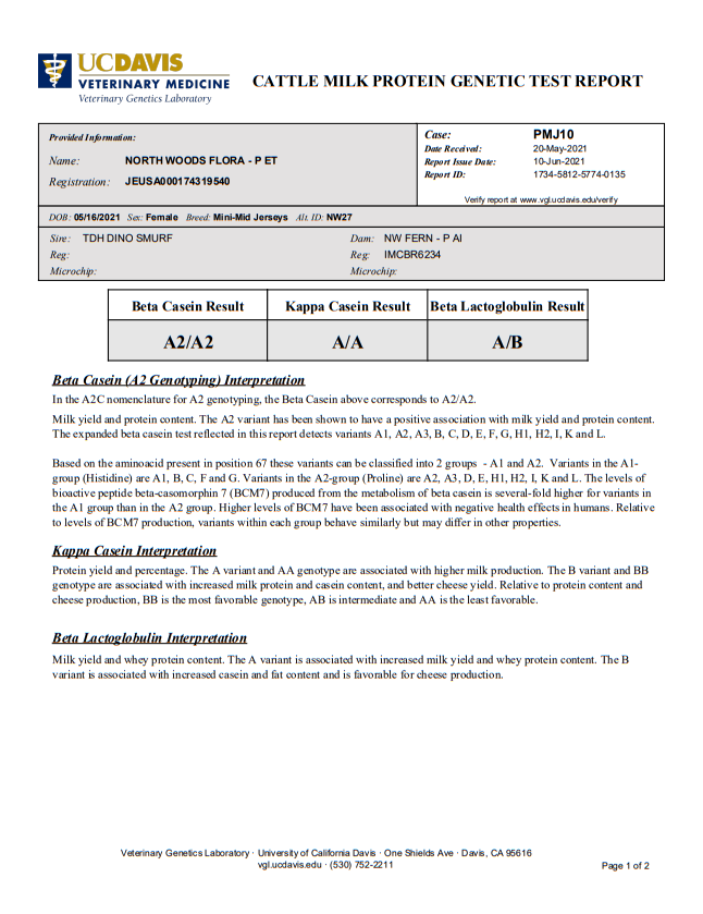 Mini Jersey UC Davis A2/A2 Report DNA
