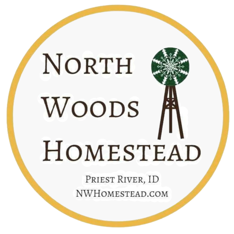 North Woods Homestead A2/A2 Purebred Mini Jerseys homestead cows bulls and rare Salmon Faverolles Chickens