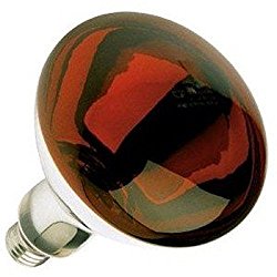 Red heat lamp bulb for chick brooder found on Amazon